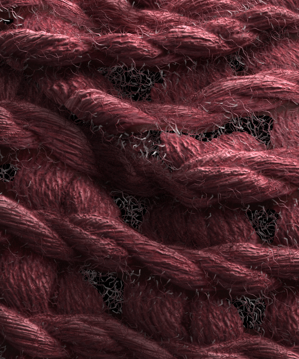 Wool Knit | 3D Model - CONNECT