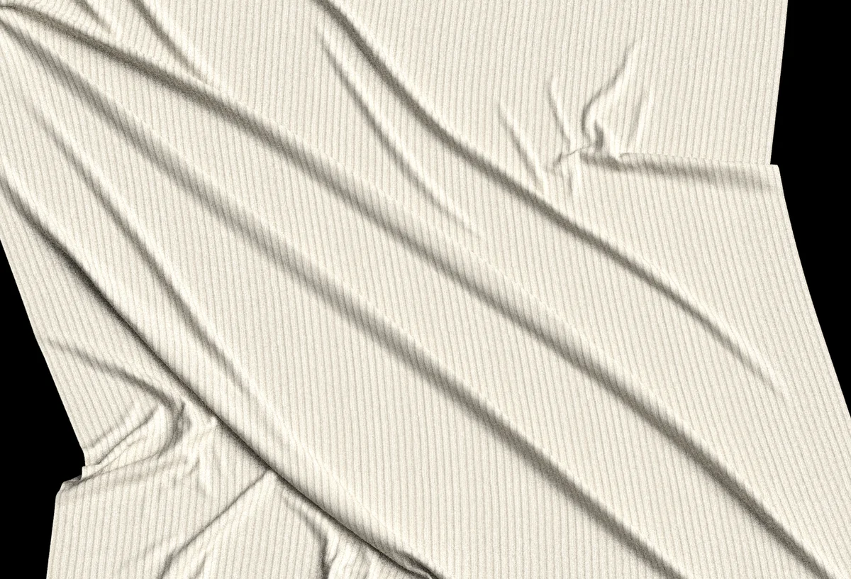 Fine Rib Knit Fabric FB25-25 | 3D Model - CONNECT